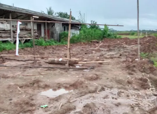 Plang segel penutupan galian tanah di Mekarsari, Kecamatan Rangkasbitung, Lebak dicopot dan hanya tersisa tiang bambu. (Sumber: Dok. Warga)