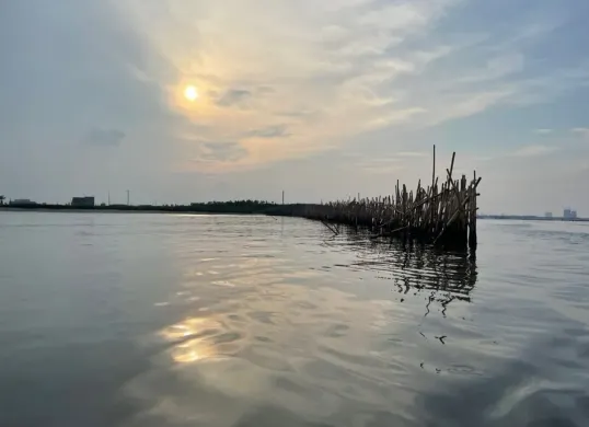 Pagar bambu yang berada di Pulau Reklamasi C Jakarta. (Sumber: Akun X: @elisa_jkt)