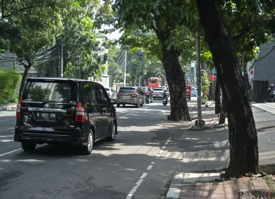 Pohon Menghalangi Pengendara Jalan