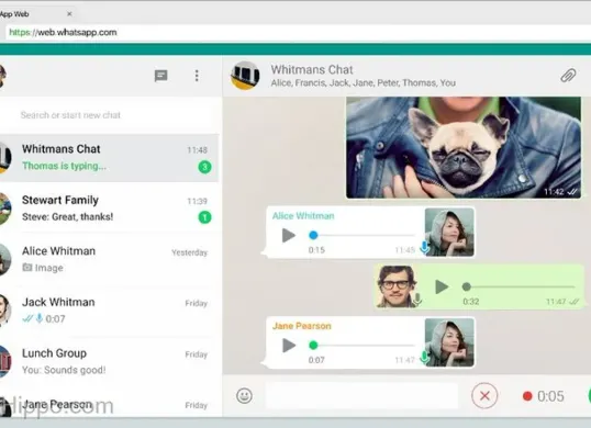 Solusi Mudah Mematikan Auto Download di WhatsApp Desktop untuk Pengguna Hemat Ruang (Sumber: Pinterest/Lau_ /)