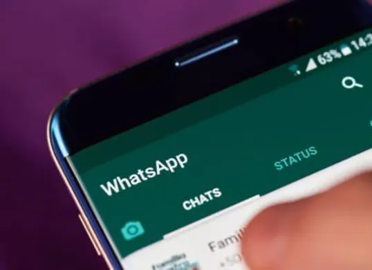 Cara hentikan akun WhatsApp disadap dari jarak jauh. (Sumber: Pinterest)