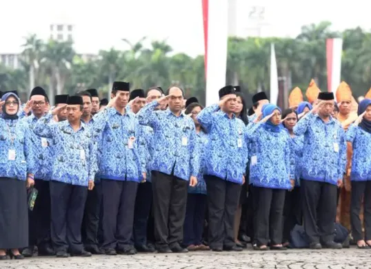 Peserta lolos seleksi CPNS lulusan S1, cek segini gaji yang diterima setelah diangkat jadi ASN. (Sumber: setkab.go.id)
