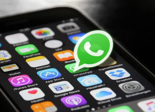 Ilustrasi WhatsApp yang digunakan sehari-hari untuk berkomunikasi. (Sumber: Pixabay/HeikoAL)