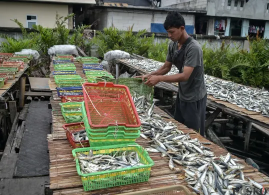 Produksi Ikan Asin Terkendala Cuaca