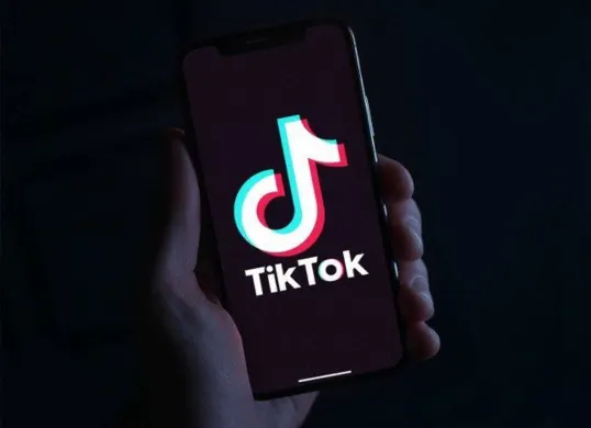 Cara menghasilkan cuan dari Tiktok, begini tips-tipsnya. (Sumber: Pinterest)
