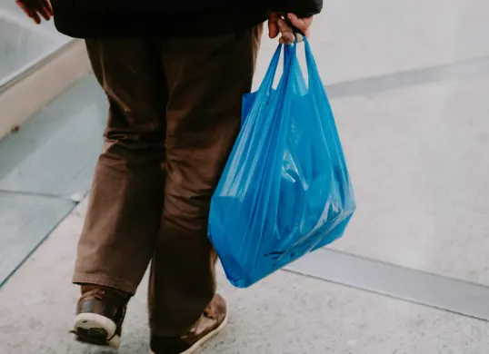 Hari Bebas Kantong Plastik Internasional Diperingati Tiap 3 Juli, Berikut Sejarah dan Dampaknya ke Lingkungan (Sumber: Unsplash/Mathias Reding)