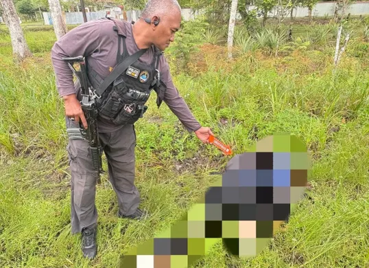 Petugas Tim Cartenz lakukan identifikasi di TKP pegawai honorer tewas ditikam oleh anggota KKB, Sabtu 5 Juli 2025. (Sumber: Satgas Damai Cartenz)