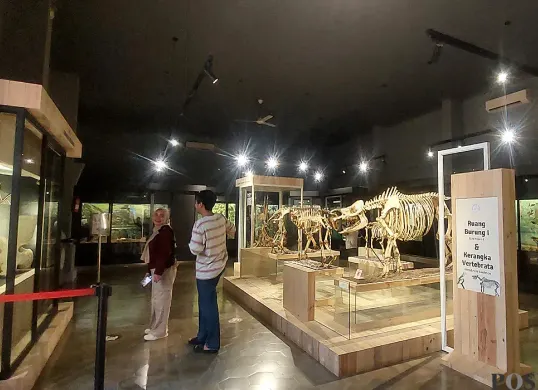 Suasana di Museum Zoologi Kebun Raya Bogor yang kini tampil dengan wajah baru. (Sumber: POSKOTA | Foto: Sekar Putri Andini)