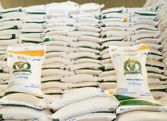 Bantuan pangan beras 20 kg, begini cara mengambilnya. (Sumber: badanpangan.go.id)