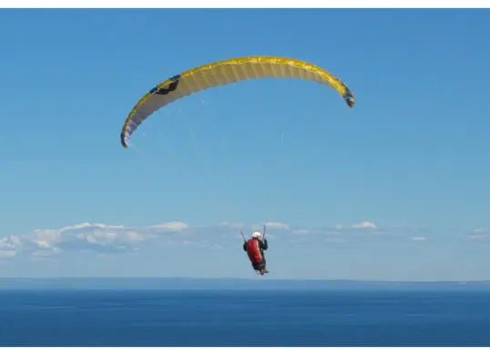 Ilustrasi warga negara Korea Selatan yang tewas saat Paragliding di kawasan Kutuh, Kuta Selatan, Badung, Bali. (Sumber: Freepik/wirestock)