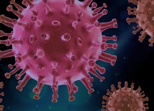 Ilustrasi Covid-19, Waspada lonjakan COVID-19 di Asia, Jabar tingkatkan surveilans. Simak imbauan Dedi Mulyadi dan kesiapan rumah sakit di sini. (Sumber: Pixabay/PIRO4D)