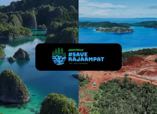 Potret Raja Ampat yang beralih jadi tambang nikel viral di media sosial, aktivis dan netizen menuntut pembatalan proyek (Sumber: Instagram/@greenpeaceid)
