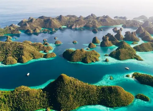 Dampak kerusakan lingkungan lebih besar dari keuntungan ekonomi! Pemerintah cabut 4 izin tambang nikel di Raja Ampat. PT Gag Nikel masih boleh beroperasi. (Sumber: Pinterest)