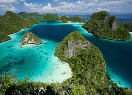 Ilustrasi Raja Ampat (Sumber: Pinterest)