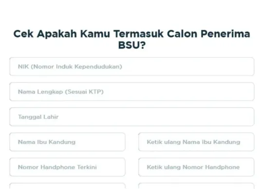 Link cek BSU Kemnaker 2025 untuk memastikan status penerima bantuan. (Sumber: bsu.bpjsketenagakerjaan.go.id)