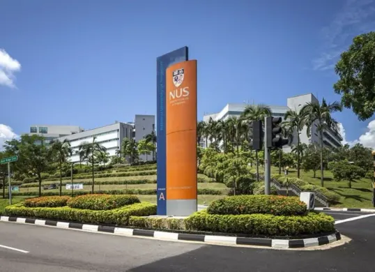 15 Universitas Asia dengan kinerja riset terbaik (Sumber: Pinterest/Square Peq Design)