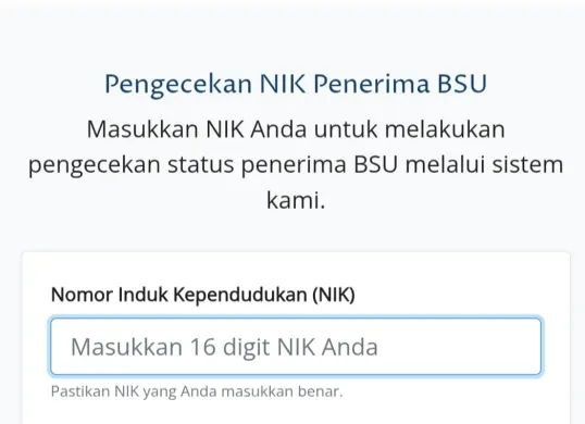 Tampilan halaman pengecekan status penerina BSU 2025 di situs resmi BSU Kemnaker. (Sumber: BSU Kemnaker)