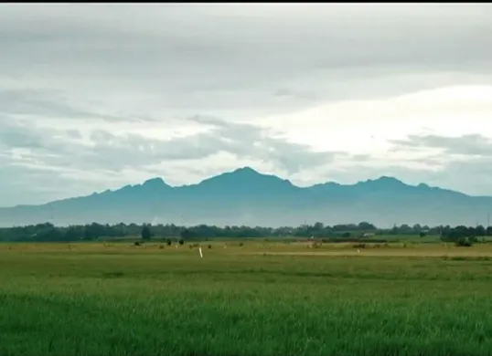 SeorangPendaki terjatuh di jurang Gunung Muria (Sumber: Pinterest)