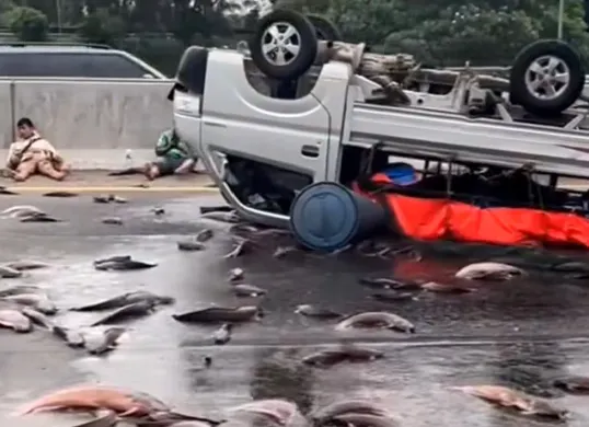 Tangkap layar mobil pikap bermuatan ikan lele yang mengalami kecelakaan hingga terbalik di jalan Tol Cikampek KM 54 pada Sabtu, 28 Juni 2025. (Sumber: Instagram @informasi_Karawang)