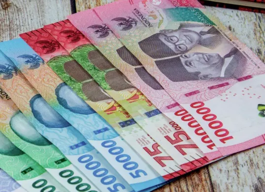 Aplikasi penghasil uang melalui survei (Sumber: Dok/Canva)