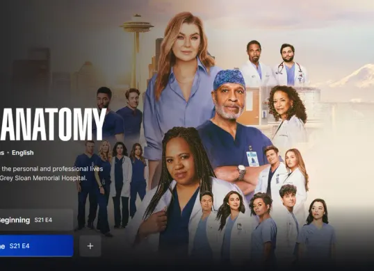Nonton Grey’s Anatomy Season 1-22 Bukan di Netlix atau LK21 (Sumber: Disney+ Hotstar/Grey's Anatomy)