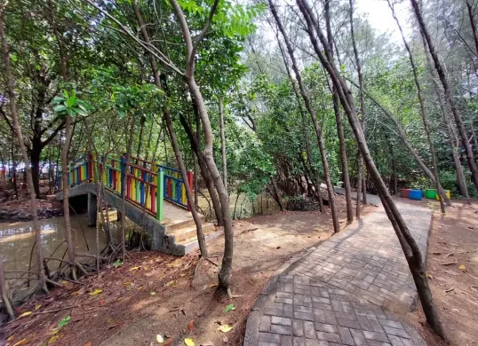 Masukkan Hutan Mangrove Kota Tegal sebagai destinasi wisata pilihan saat libur Lebaran 2025 nanti. (Sumber: Instagram/@Infotegal)