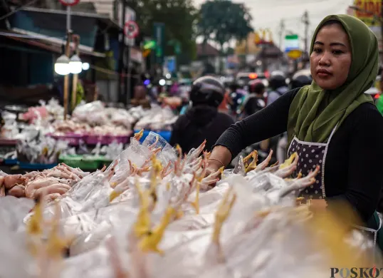 Harga Daging Ayam Naik Jelang Lebaran 2025