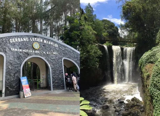 Tahura Djuanda menjadi salah satu pilihan rekomendasi tempat wisata gratis di Bandung saat libur lebaran 2025. (Sumber: X/@junaediahmad/@semangatyaran)