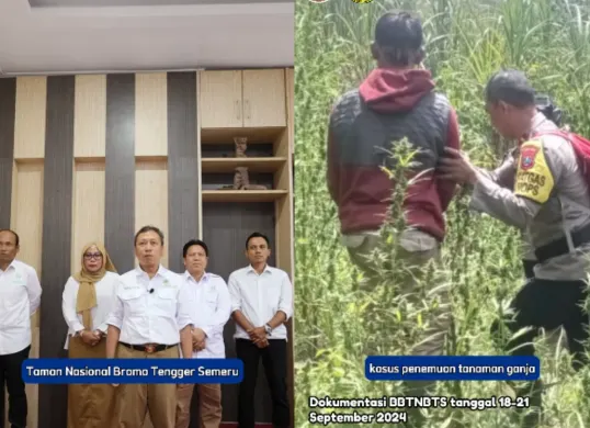Pihak TNBTS mengklarifikasi informasi terkait dengan ladang ganja di Gunung Semeru. (Sumber: Instagram/@bbtnbromotenggersemeru)