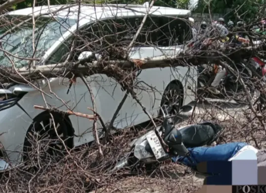 Pohon tumbang menimpa pengendara motor dan mobil di Jalan Pesanggrahan, Kembangan, Jakarta Barat, Jumat, 21 Maret 2025. (Sumber: Poskota/Pandi Ramedhan)
