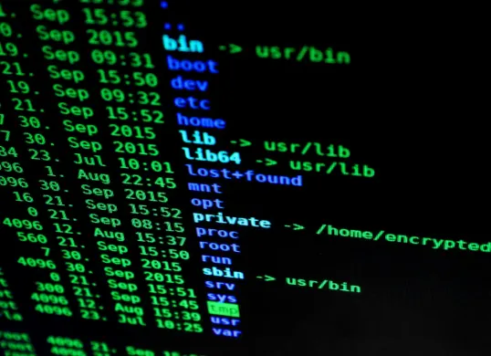 Cara hapus jejak digital di internet. (Sumber: Pexels/Pixabay)