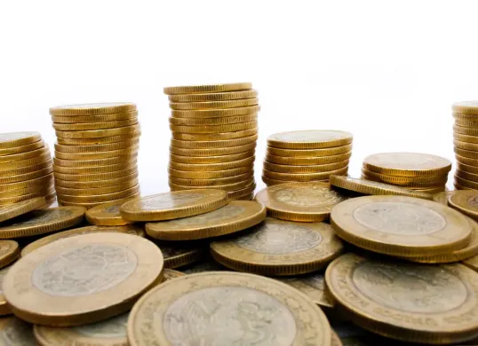 Begini cara bertahan hidup dengan Rp50.000 sehari. (Sumber: Pixabay/Vicafree)