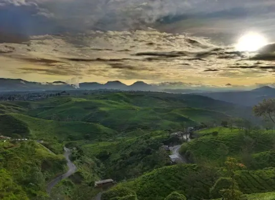 Pemandangan indah Sunrise Point Cukul di Pangalengan, Bandung Selatan, yang menampilkan hamparan perbukitan hijau dengan sinar matahari pagi yang menembus kabut tipis. (Sumber: Google/Mokuren Kawai)