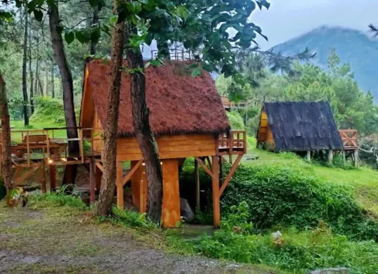 Rumah pohon di Papandayan Camping Ground menawarkan pengalaman menginap unik dengan suasana alam yang asri. Dikelilingi pepohonan pinus dan pemandangan perbukitan hijau, tempat ini cocok untuk melepas penat. (Sumber: Google/bluberry17)