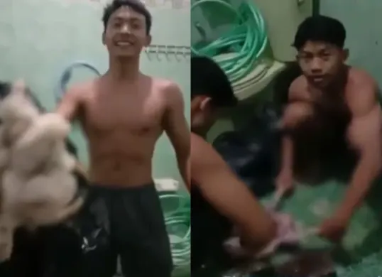 Sejumlah atlet binaraga di Malang mengonsumsi ayam tiren untuk memenuhi kebutuhan proteinnya. (Sumber: Tangkap Layar X/@Heraloebs)