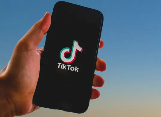 TikTok menghadirkan fitur baru bernama AI Alive. (Sumber: Pixabay/nikuga)