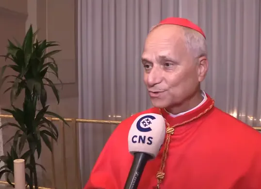 Paus Baru Terpilih 2025, Berikut Profil Robert Francis Prevost (Sumber: YouTube/Catholic News Service)