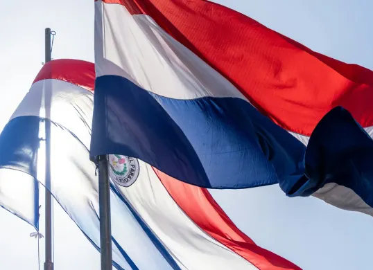Hari Kemerdekaan Paraguay Diperingati 14 Mei, Berikut Sejarahnya (Sumber: Unsplash/Winston Chen)