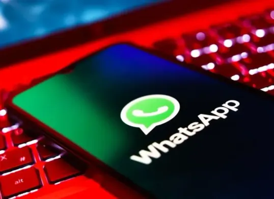 Solusi yang bisa diterapkan ketika WhatsApp tidak bisa dibuka (Sumber: Pinterest)