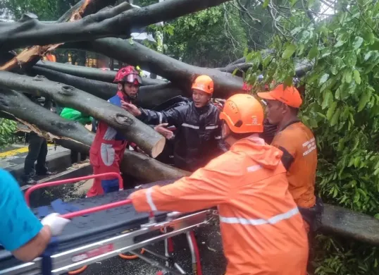 Petugas BPBD DKI Jakarta saat menangani pohon tumbang di Dharmawangsa, Jakarta Selatan, Kamis, 30 Oktober 2025. (Sumber: BPBD Jakarta)