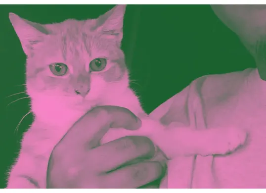 Cara ganti foto profil pakai Brave Pink Hero Green yang viral di media sosial. (Sumber: X/@tahu_gulin666)