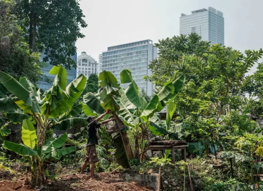 Pemanfaatan Lahan Tidur di Kawasan Padat Penduduk