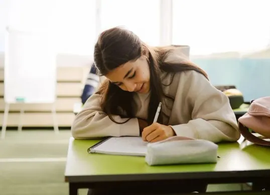 Panduan Lengkap Menulis Esai 500 Kata untuk Rekrutmen Komnas Perempuan 2025 (Sumber: Pinterest)