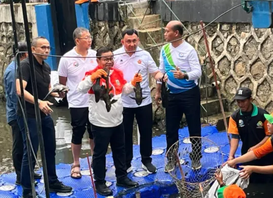 Gubernur DKI Jakarta, Pramono Anung saat memegang ikan sapu-sapu yang telah ditangkap petugas PPSU di aliran kali RW 06, Janur Elok VI Blok QD9, Kelapa Gading, Jakarta Utara, Jumat, 17 April 2026. (Sumber: Poskota/M. Tegar Jihad)