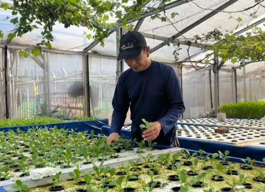 Ketua Poktan GSG 07 Kembangan, Kasmin, saat sedang melihat tanaman hidroponik yang dia kembangkan di kebun, Senin, 20 April 2026. (Sumber: Poskota/ Pandi Ramedhan)