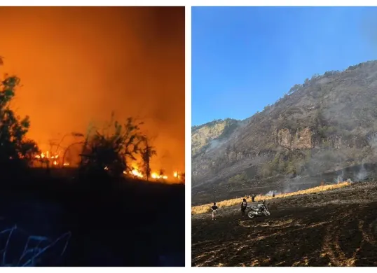Kolase kebakaran hutan dan lahan melanda kawasan Taman Nasional Bromo Tengger Semeru (TNBTS), Jawa Timur. (Sumber: X/@NaraSenyap)