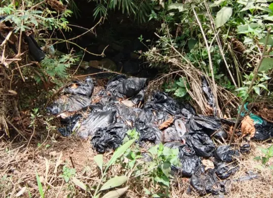 Lokasi pembuangan sampah yang diduga dari hasil MBG, di Kecamatan Lembang, Kabupaten Bandung Barat. (Sumber: Pos Kota/ Gatot Poedji Utomo)