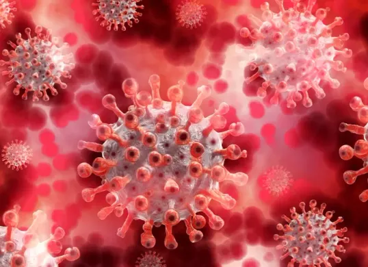 Ilustrasi virus nipah. (Sumber: Pixabay/Geralt)