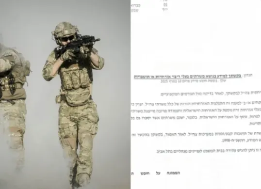 Viral WNI diduga gabung jadi tentara Israel. (Sumber: Pixabay | Declassified UK)