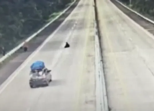 Seorang santri tewas usai tertabrak mobil di Tol Bakauheni, Lampung. (Sumber: Istimewa/Tangkapan Layar)